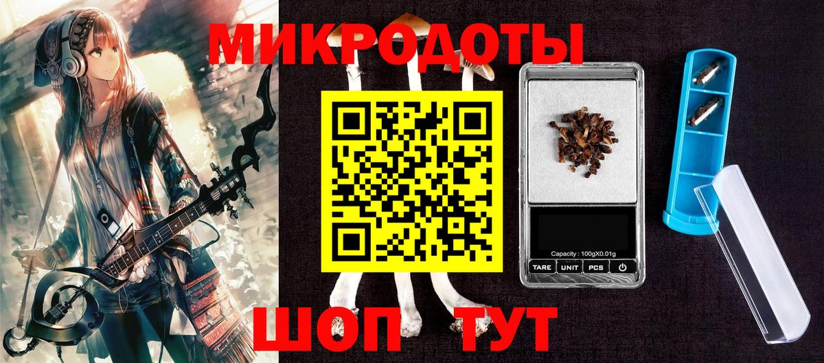 Псилоцибиновые грибы Psilocybe Жигулёвск