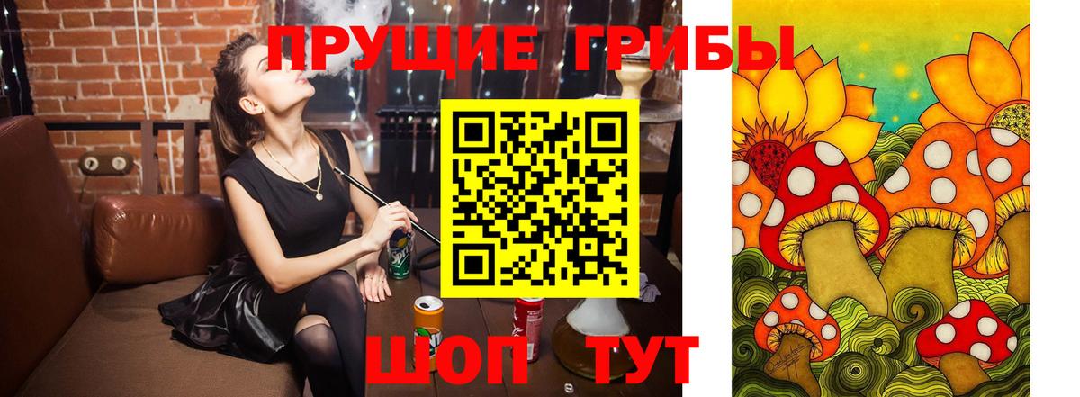 Галлюциногенные грибы GOLDEN TEACHER  Галлюциногенные грибы Cubensis  Жигулёвск 