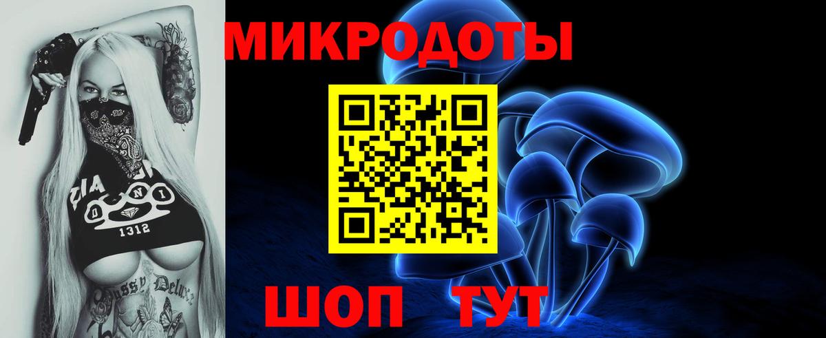 Псилоцибиновые грибы Cubensis  Вход с VPN  Жигулёвск 